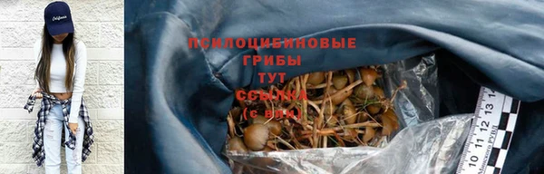 COCAINE Майский