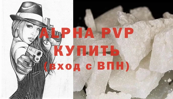 ПСИЛОЦИБИНОВЫЕ ГРИБЫ Вяземский
