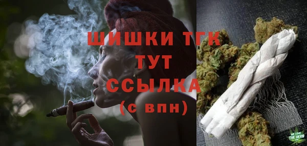 ПСИЛОЦИБИНОВЫЕ ГРИБЫ Вяземский