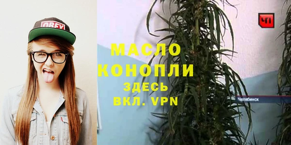 ПСИЛОЦИБИНОВЫЕ ГРИБЫ Вяземский