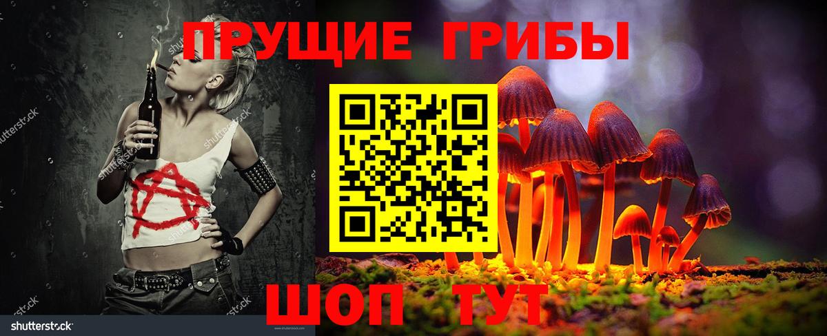 Галлюциногенные грибы мицелий Россия